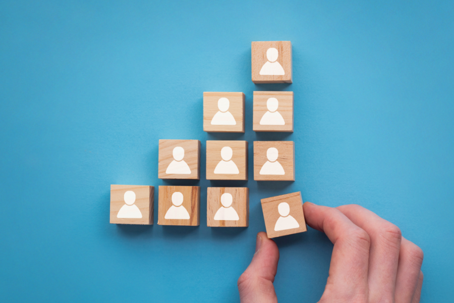 HR fundamentals: learn the basics before automation